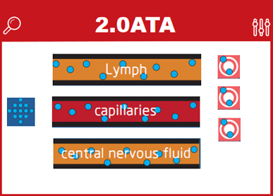 2ata