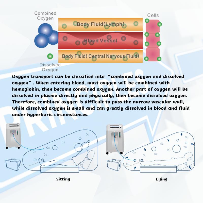Rehabilitation Therapy 1.5 ATA Hyperbaric Chamber