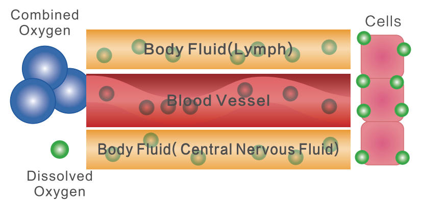 Why Should I Use a Hyperbaric Chamber